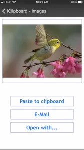 iClipboard - Clipboard manager screenshot 2