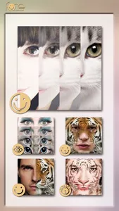 InstaFace:face eyes blend morph with animal effect screenshot 2