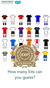 Expert Football Challenge: 2015 Kits Edition screenshot 0