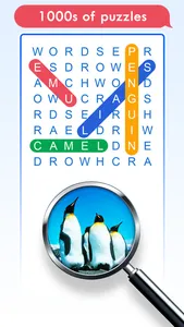 100 PICS Word Search Puzzles screenshot 2