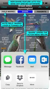 iBird Ultimate Guide to Birds screenshot 4