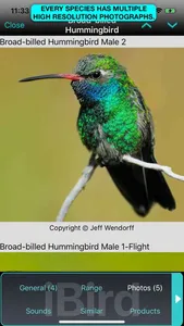 iBird Ultimate Guide to Birds screenshot 5