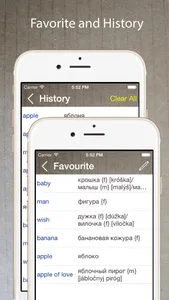 Russian English Dictionary + screenshot 2