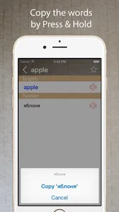 Russian English Dictionary + screenshot 3