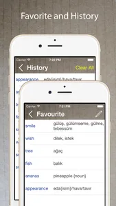 Turkish English Dictionary + screenshot 2