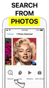 Reversee: Reverse Image Search screenshot 2
