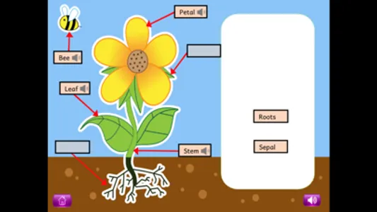 Naming Parts of Plants&Animals screenshot 2