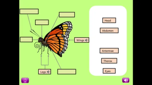 Naming Parts of Plants&Animals screenshot 5