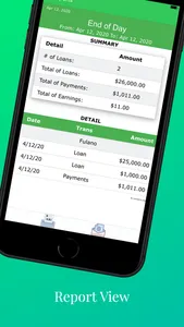 LoanAdminLITE screenshot 6