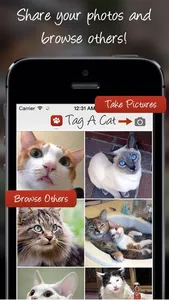 Tag A Cat - The Cat Photo App screenshot 0