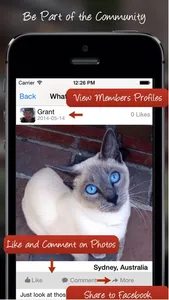 Tag A Cat - The Cat Photo App screenshot 3