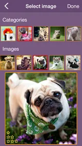 Home pets puzzle - Ultimate jigsaw tile edition screenshot 1