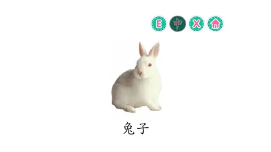 PicDic - Animals (Eng-Chinese) screenshot 5