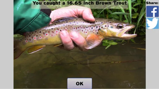 Fly Fishing Simulator screenshot 3