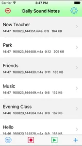 Daily Sound Notes Professional screenshot 1