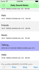 Daily Sound Notes Professional screenshot 2