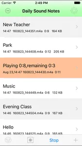 Daily Sound Notes Professional screenshot 3
