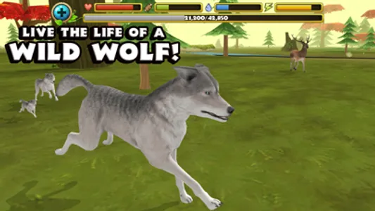 Wildlife Simulator: Wolf screenshot 0