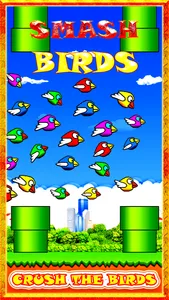 Smash Birds: Fun and Cool for Boys Girls and Kids screenshot 0