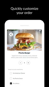 Pincho screenshot 1