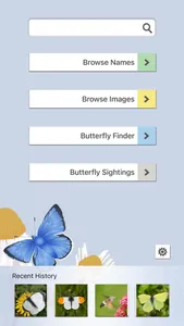 Butterflies & Day Moths UK screenshot 7