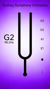 Double Bass Tuner Professional screenshot 7