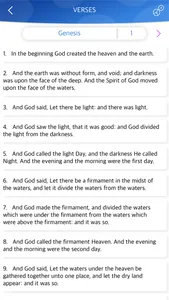 English Bible Offline screenshot 4