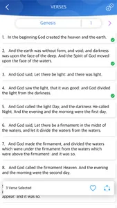 English Bible Offline screenshot 5