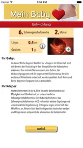 Mein Baby - Ich bin schwanger screenshot 1