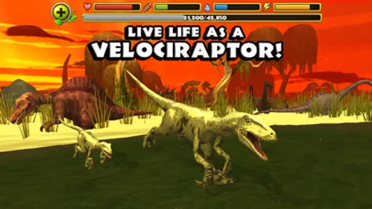 Dino Simulator: Velociraptor screenshot 0