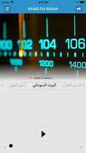 RADIO FM SUDAN screenshot 0