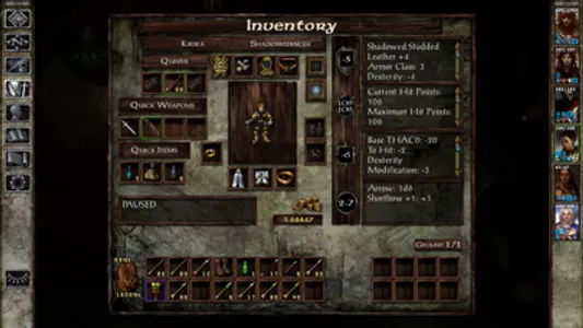 Icewind Dale screenshot 4