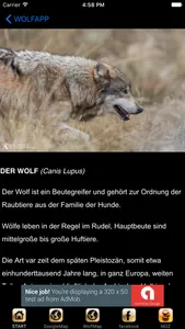 WolfApp screenshot 3