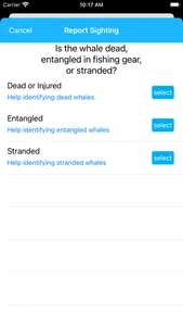 Whale Alert screenshot 3