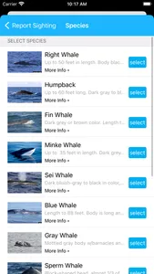 Whale Alert screenshot 4