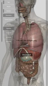 3D Human Anatomy Introduction screenshot 1