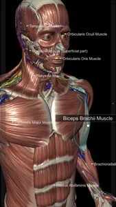 3D Human Anatomy Introduction screenshot 2