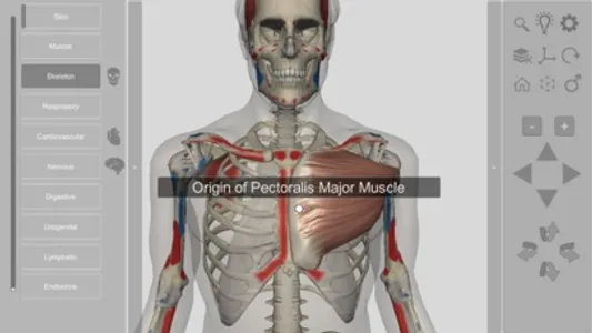 3D Human Anatomy Introduction screenshot 3