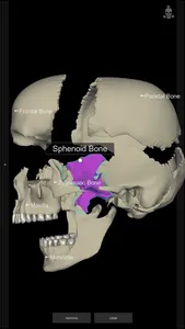 3D Human Anatomy Introduction screenshot 4