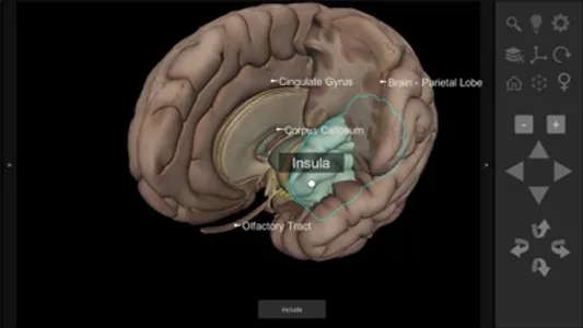 3D Human Anatomy Introduction screenshot 5