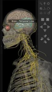 3D Human Anatomy Introduction screenshot 8