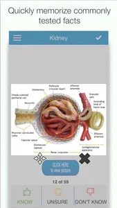 USMLE Bio/Physio Cram Cards screenshot 0