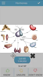 USMLE Bio/Physio Cram Cards screenshot 2