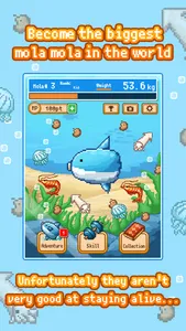 Survive! Mola Mola! screenshot 0