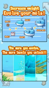 Survive! Mola Mola! screenshot 3