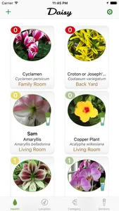 Daisy Sensor - Bluetooth Plant Soil Moisture screenshot 0