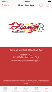 Flames Handball screenshot 3