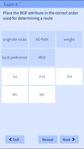 CCNP Route 300-101 Implementing IP Routing Exam screenshot 3