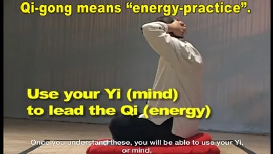 Eight Brocades Qigong Sitting screenshot 3