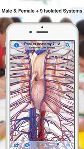 High School Anatomy screenshot 2